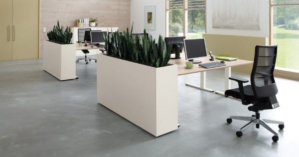 Verrijdbare plantenbak als roomdivider