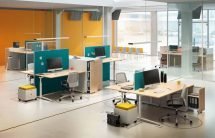 Palmberg Caldo C bureau