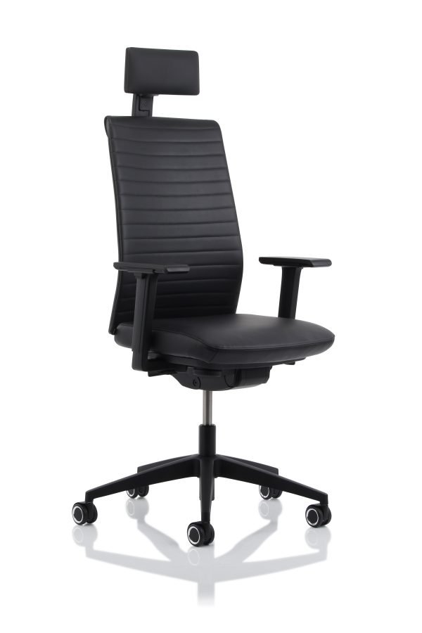 TEMPEO Leder W40 met hoofdsteun