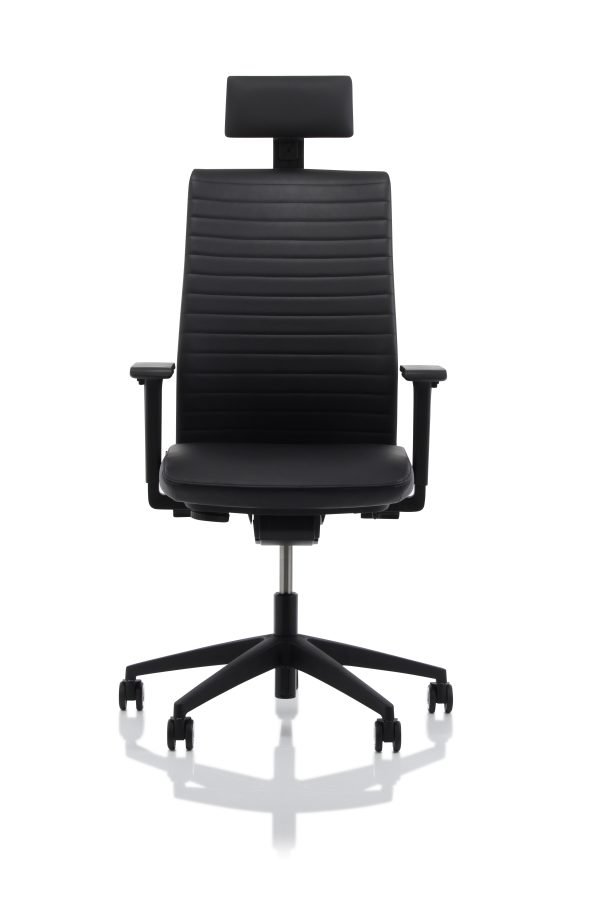 TEMPEO Leder W40 met hoofdsteun