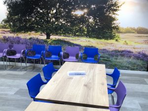 Blauw en paarse Jim stoel gezondheidscentrum Assen