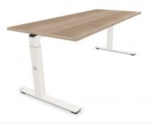 Palmberg Crew zit-sta bureau